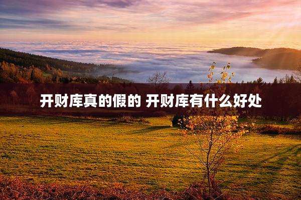 开财库真的假的 开财库有什么好处