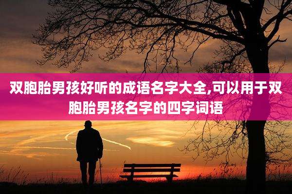 双胞胎男孩好听的成语名字大全,可以用于双胞胎男孩名字的四字词语