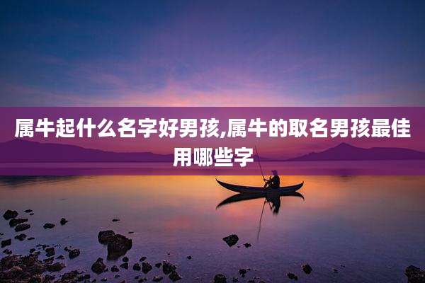 属牛起什么名字好男孩,属牛的取名男孩最佳用哪些字