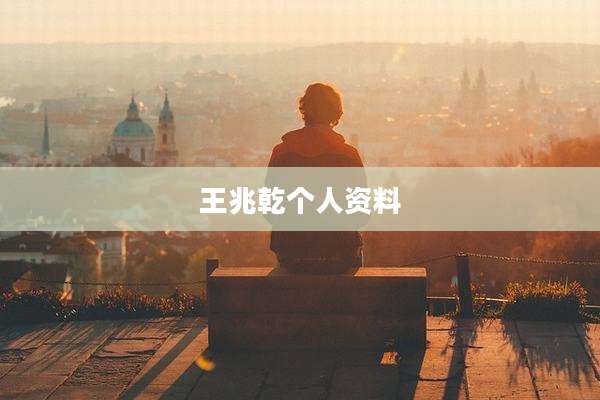 王兆乾个人资料