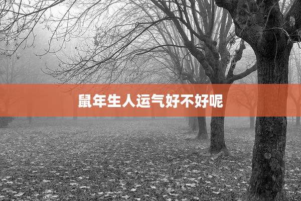 鼠年生人运气好不好呢