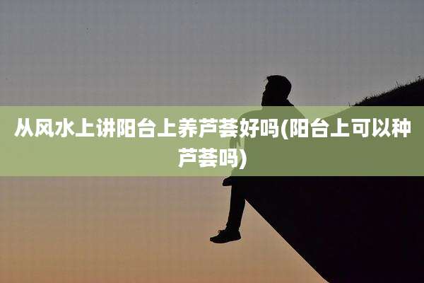 从风水上讲阳台上养芦荟好吗(阳台上可以种芦荟吗)