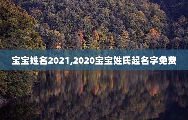 宝宝姓名2021,2020宝宝姓氏起名字免费