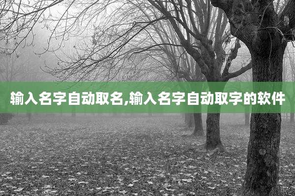输入名字自动取名,输入名字自动取字的软件