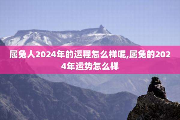 属兔人2024年的运程怎么样呢,属兔的2024年运势怎么样
