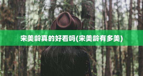 宋美龄真的好看吗(宋美龄有多美)