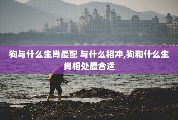 狗与什么生肖最配 与什么相冲,狗和什么生肖相处最合适