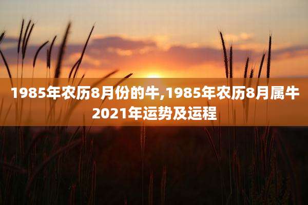 1985年农历8月份的牛,1985年农历8月属牛2021年运势及运程