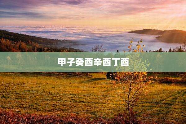 甲子癸酉辛酉丁酉