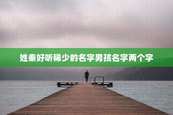 姓秦好听稀少的名字男孩名字两个字