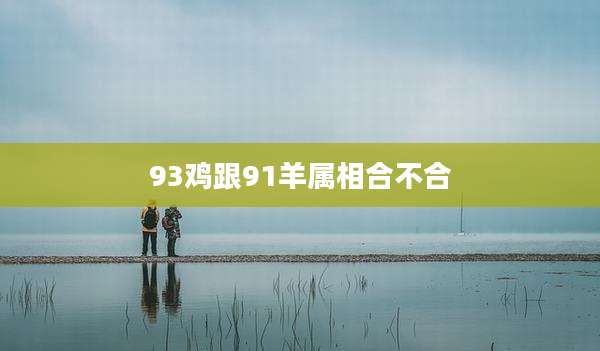 93鸡跟91羊属相合不合