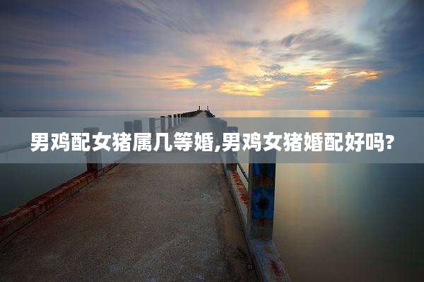 男鸡配女猪属几等婚,男鸡女猪婚配好吗?