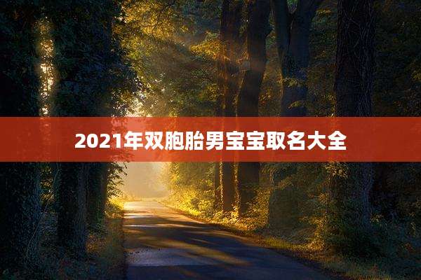 2021年双胞胎男宝宝取名大全