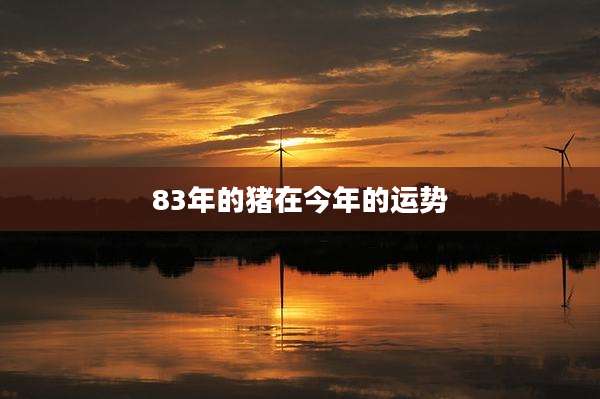 83年的猪在今年的运势
