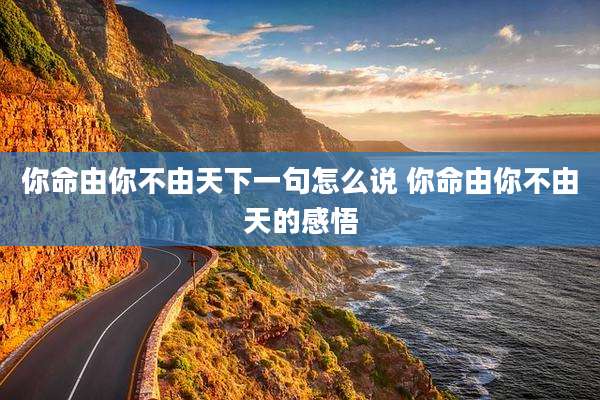 你命由你不由天下一句怎么说 你命由你不由天的感悟
