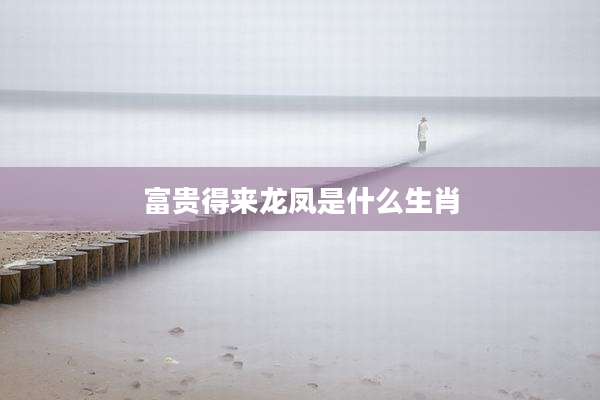 富贵得来龙凤是什么生肖