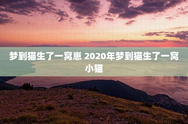 梦到猫生了一窝崽 2020年梦到猫生了一窝小猫