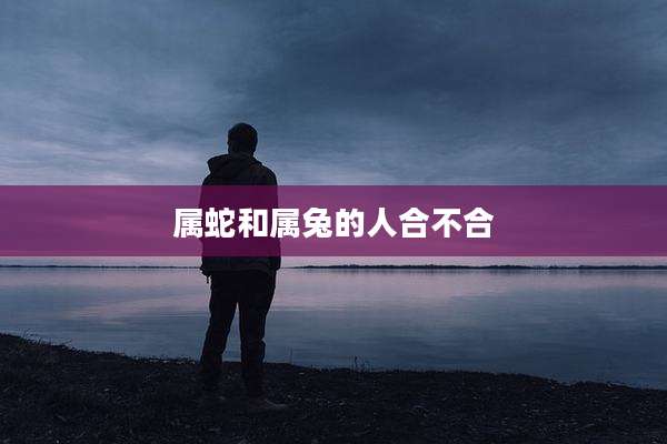 属蛇和属兔的人合不合