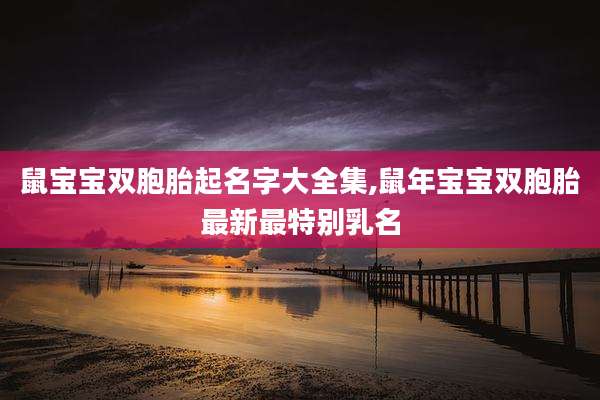 鼠宝宝双胞胎起名字大全集,鼠年宝宝双胞胎最新最特别乳名