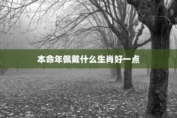 本命年佩戴什么生肖好一点