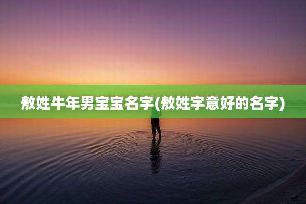 敖姓牛年男宝宝名字(敖姓字意好的名字)