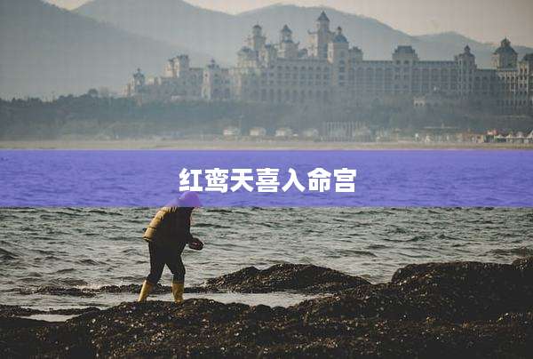 红鸾天喜入命宫