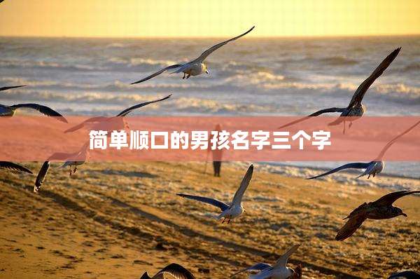 简单顺口的男孩名字三个字