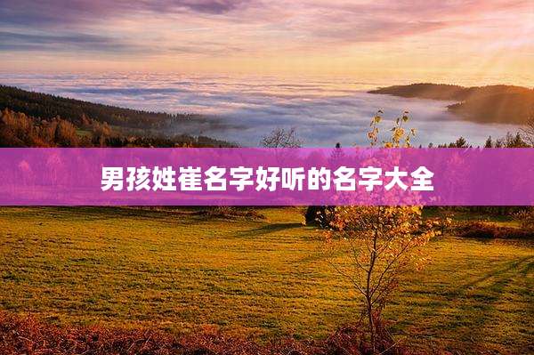 男孩姓崔名字好听的名字大全