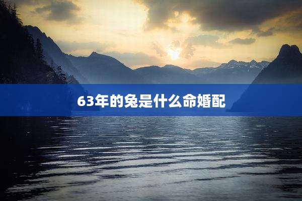 63年的兔是什么命婚配