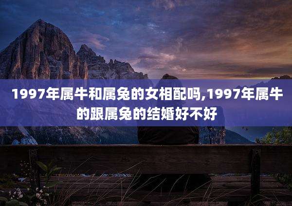 1997年属牛和属兔的女相配吗,1997年属牛的跟属兔的结婚好不好