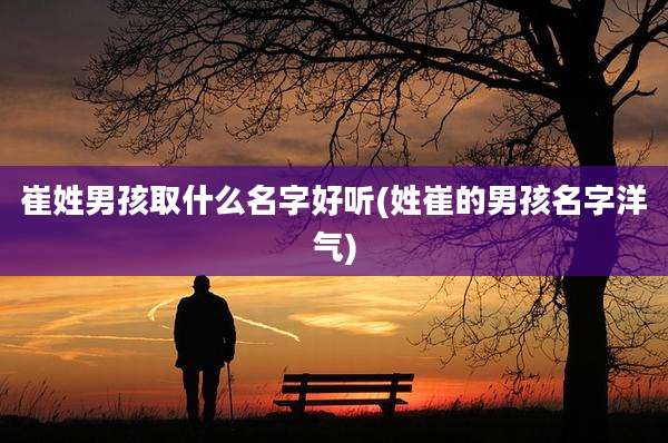 崔姓男孩取什么名字好听(姓崔的男孩名字洋气)