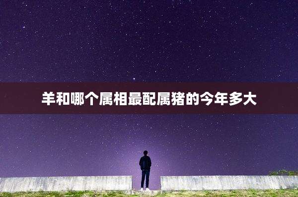 羊和哪个属相最配属猪的今年多大