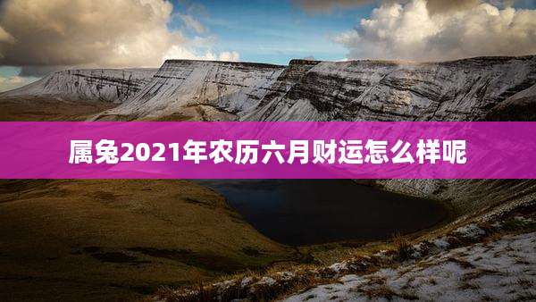 属兔2021年农历六月财运怎么样呢