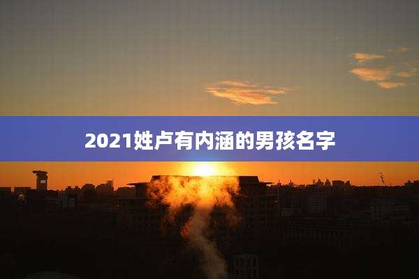 2021姓卢有内涵的男孩名字