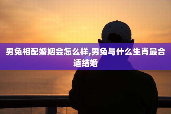男兔相配婚姻会怎么样,男兔与什么生肖最合适结婚