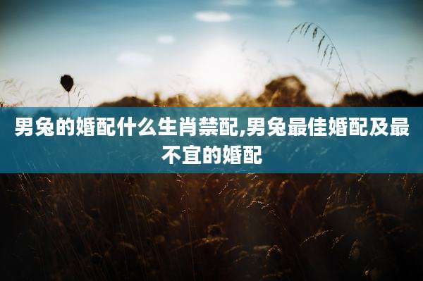男兔的婚配什么生肖禁配,男兔最佳婚配及最不宜的婚配