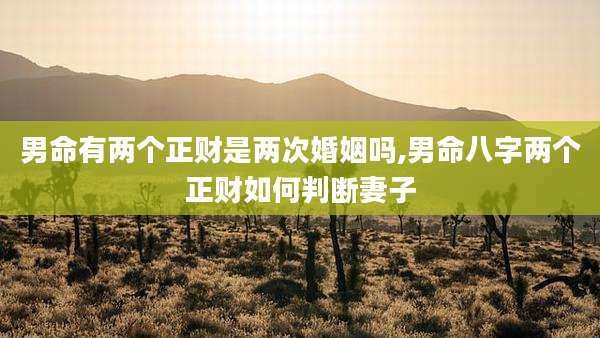 男命有两个正财是两次婚姻吗,男命八字两个正财如何判断妻子