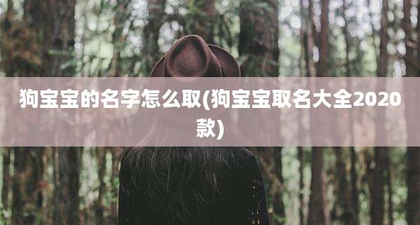 狗宝宝的名字怎么取(狗宝宝取名大全2020款)