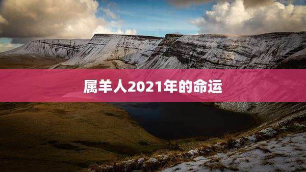 属羊人2021年的命运