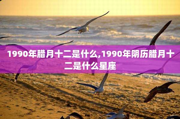1990年腊月十二是什么,1990年阴历腊月十二是什么星座