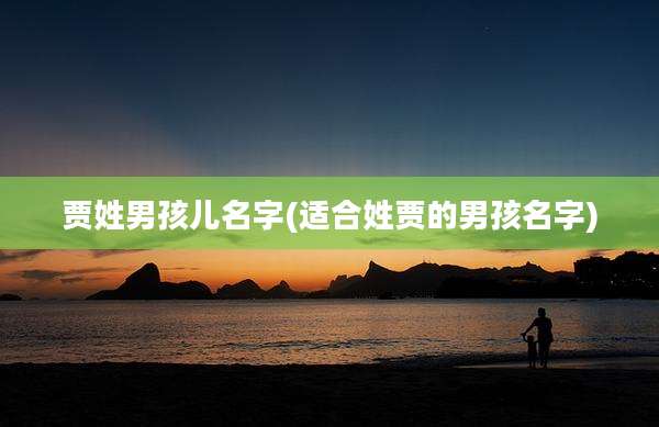 贾姓男孩儿名字(适合姓贾的男孩名字)