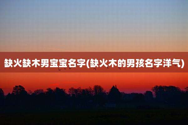 缺火缺木男宝宝名字(缺火木的男孩名字洋气)