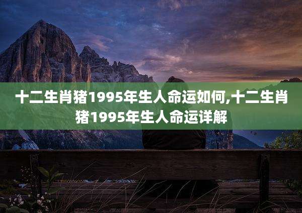 十二生肖猪1995年生人命运如何,十二生肖猪1995年生人命运详解