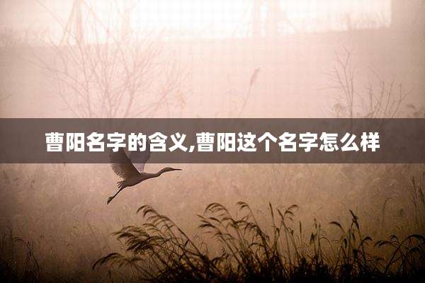 曹阳名字的含义,曹阳这个名字怎么样