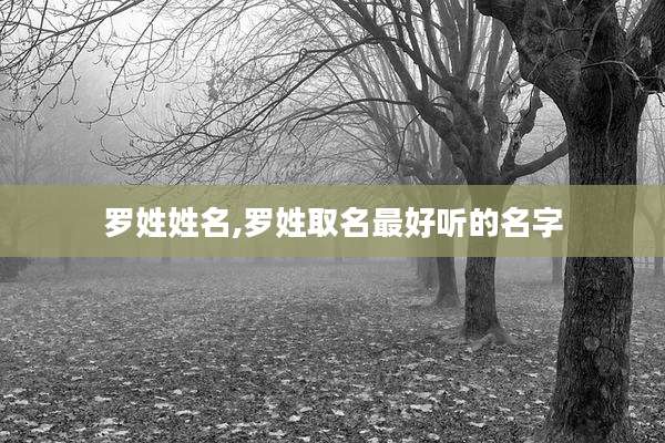 罗姓姓名,罗姓取名最好听的名字