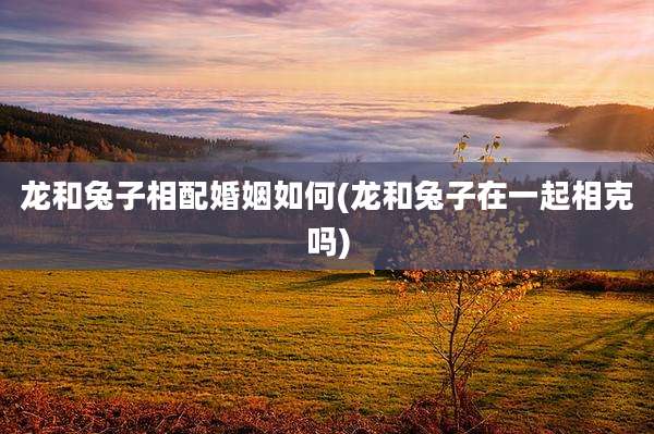 龙和兔子相配婚姻如何(龙和兔子在一起相克吗)