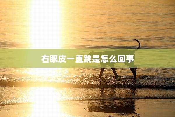 右眼皮一直跳是怎么回事