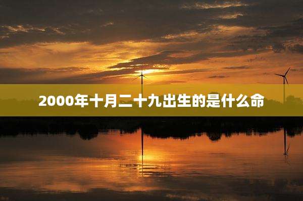 2000年十月二十九出生的是什么命