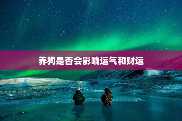 养狗是否会影响运气和财运
