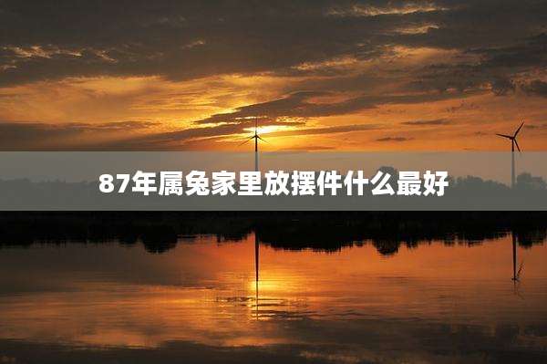 87年属兔家里放摆件什么最好